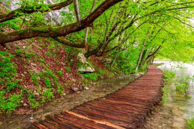 Milli Park Plitvice ahşap yolunda