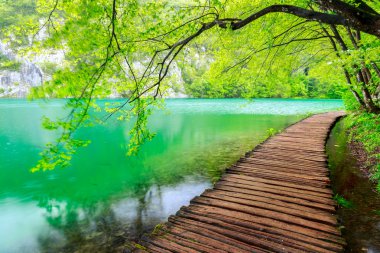Milli Park Plitvice ahşap yolunda