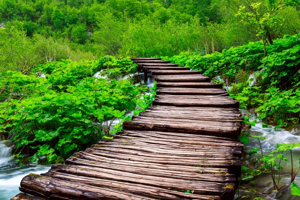 Sendero de madera en el Parque Nacional de Plitvice — Foto de Stock