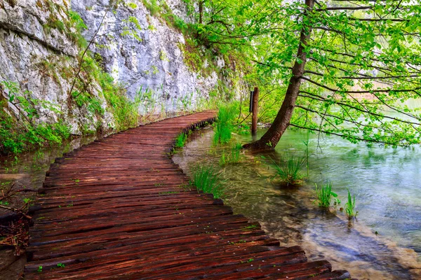 Caminho de madeira no Parque Nacional em Plitvice — Fotografia de Stock