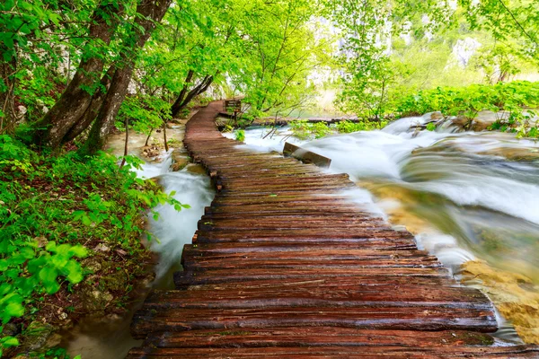 Caminho de madeira no Parque Nacional em Plitvice — Fotografia de Stock