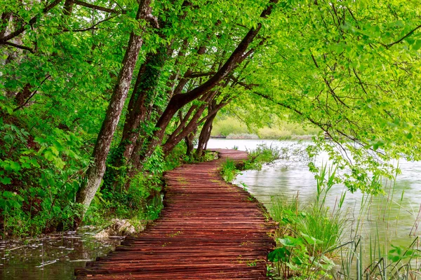 Дерев'яний шлях в Національний парк Плітвицькі, у — стокове фото