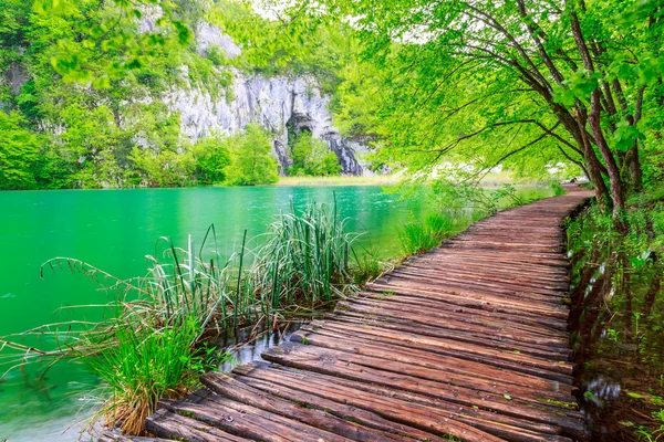 Fából készült kerti ösvény-ban a Plitvicei Nemzeti Park — Stock Fotó