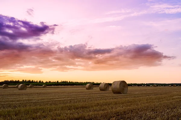 Sunset over farm field with hay bales — Stock Photo, Image