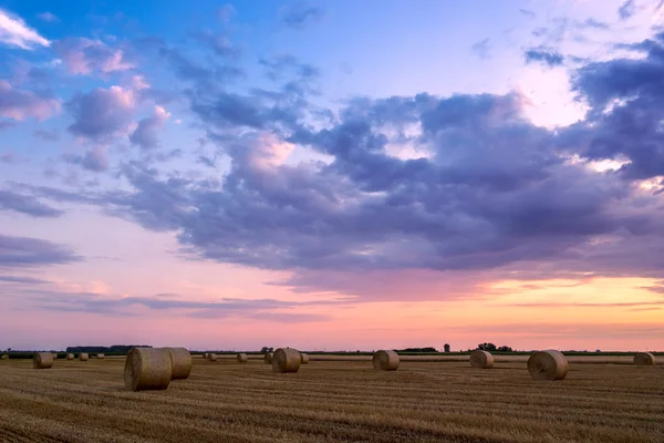 Pôr do sol sobre campo de fazenda com fardos de feno — Fotografia de Stock