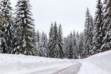 karlı kış yol