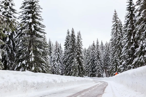 Karlı kış yol — Stok fotoğraf