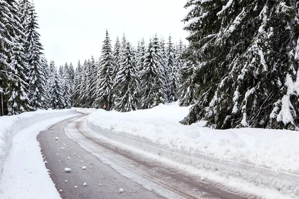 Karlı kış yol — Stok fotoğraf