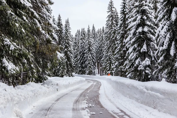 Karlı kış yol — Stok fotoğraf