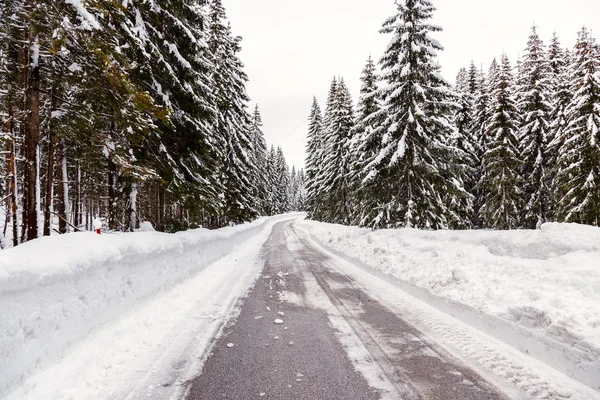 Karlı kış yol — Stok fotoğraf