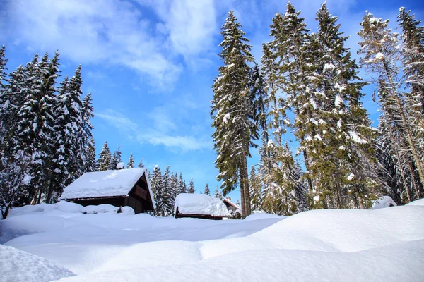 Slovenya Alpleri'nde kış tatil evi — Stok fotoğraf