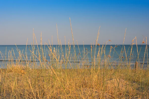 Playa soleada con dunas de arena y cielo azul — Foto de Stock