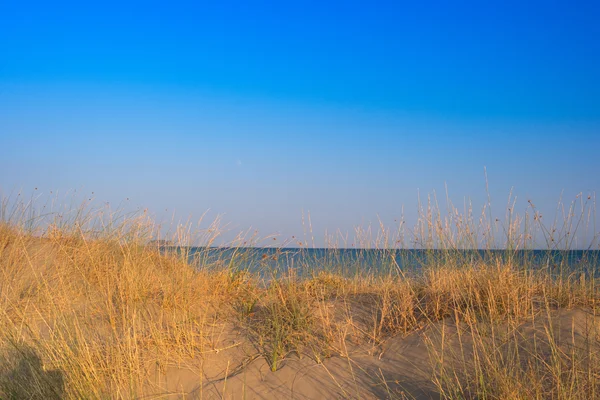 Playa soleada con dunas de arena y cielo azul — Foto de Stock