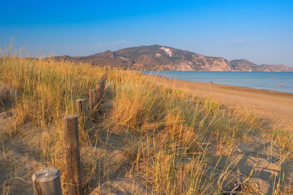 Solrig strand med klitter og blå himmel - Stock-foto