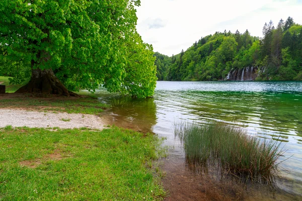 Parque Nacional dos Lagos de Plitvice na Croácia — Fotografia de Stock