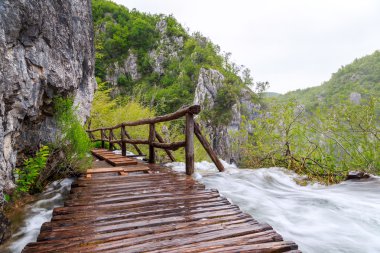 plitvice gölleri Milli Parkı içinde ahşap turist yolu