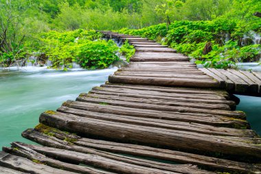 Sahil park Plitvice Gölleri