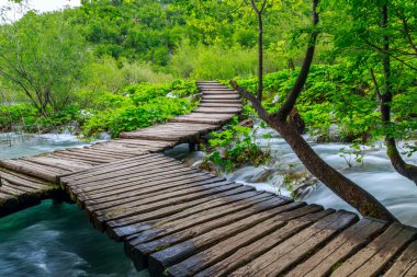 Sahil park Plitvice Gölleri