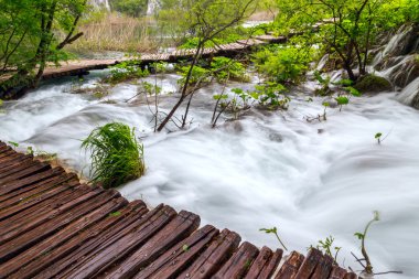 Bahar orman creek Plitvice Milli Parkı'nda