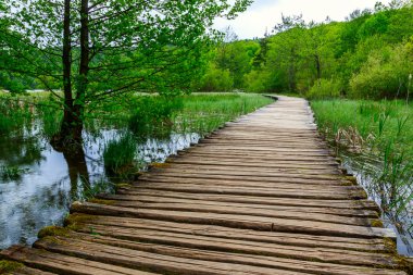 Sahil park Plitvice Gölleri