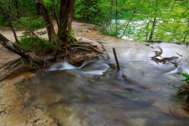 Bahar orman creek Plitvice Milli Parkı'nda
