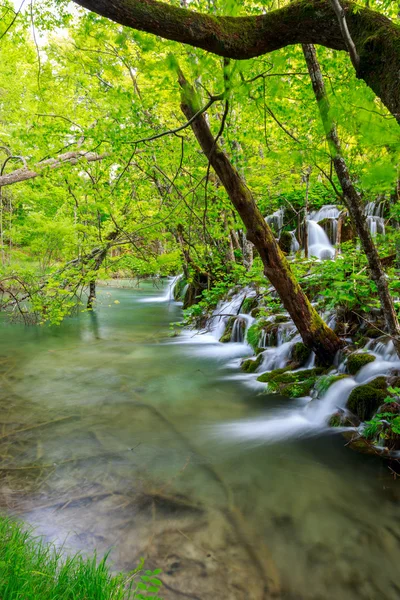 Vodopád v hlubokém lese — Stock fotografie