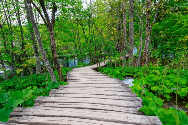 Promenada w parku Jezior Plitwickich — Zdjęcie stockowe