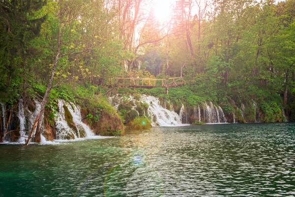 Waterval in diepe bossen — Stockfoto