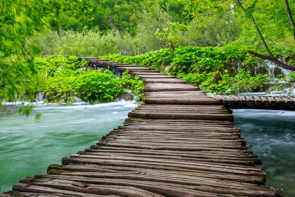 Boardwalk în parc Lacuri Plitvice — Fotografie, imagine de stoc