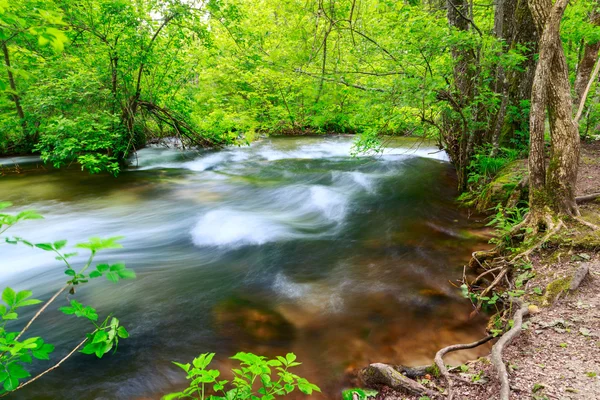 Ruisseau forestier printanier dans le parc national de Plitvice — Photo