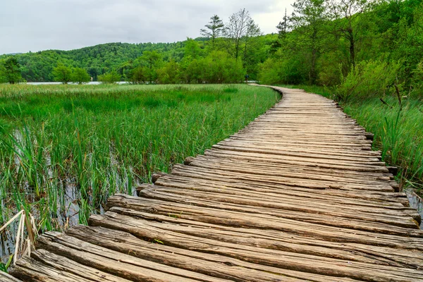 Promenada w parku Jezior Plitwickich — Zdjęcie stockowe