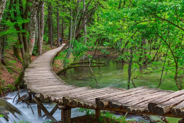 Arroyo forestal de primavera en el Parque Nacional de Plitvice — Foto de Stock