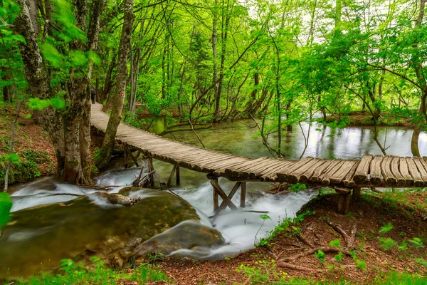 Arroyo forestal de primavera en el Parque Nacional de Plitvice — Foto de Stock