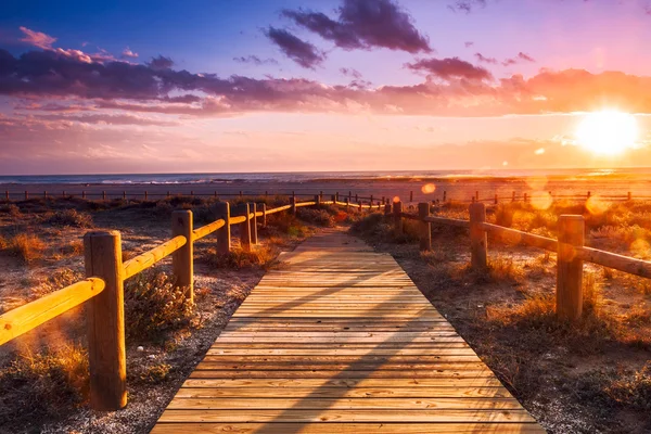 Pôr do sol praia — Fotografia de Stock