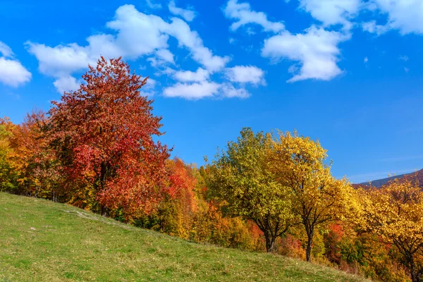 Красочный осенний пейзаж в Карпатах — стоковое фото