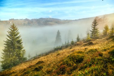 Karpat Dağları'nda renkli sonbahar manzarası