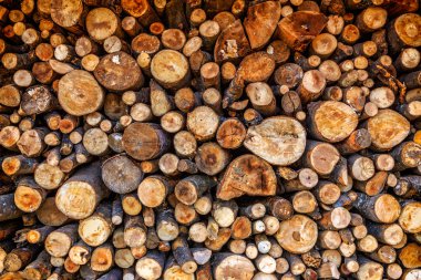 Doğranmış kuru odun günlükleri