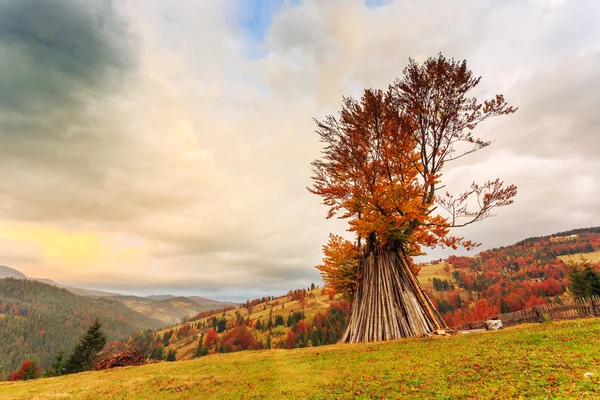 Mañana en colorido paisaje otoñal en Rumania —  Fotos de Stock