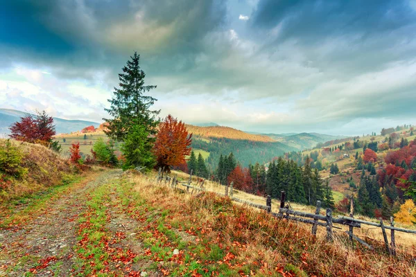 Ochtend in kleurrijke herfst landschap in Roemenië — Stockfoto