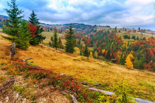 Farbenfrohe Herbstlandschaft in den Karpaten — Stockfoto