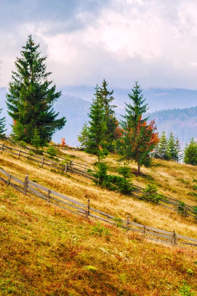 Colorful autumn landscape in the Carpathian mountains — Stock Photo, Image