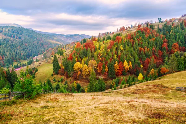 Kolorowy krajobraz jesień w Karpatach — Zdjęcie stockowe