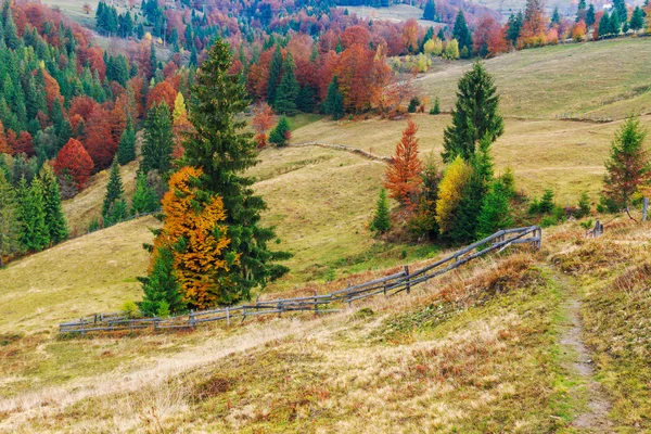 Colorful autumn landscape scene with fence in Transylvania — Stock Photo, Image