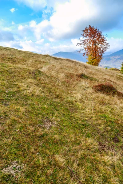 Morning in colorful autumn landscape in Romania — Stock Photo, Image