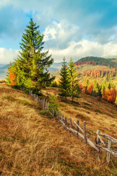 Barevné podzimní krajina v Karpatských horách — Stock fotografie