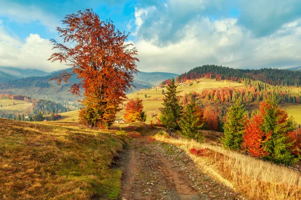 Ráno v Transylvánii hory Karpaty — Stock fotografie