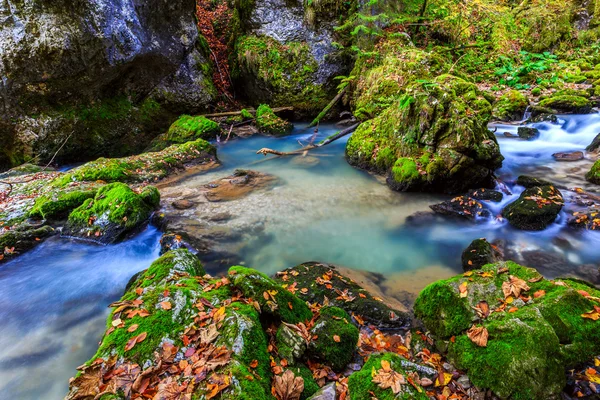 Folyó cascade egy erdőben, Transylvania-hegység — Stock Fotó