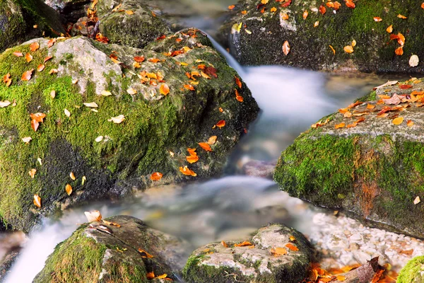 Rivier cascade in een bos in Transsylvanië bergen — Stockfoto