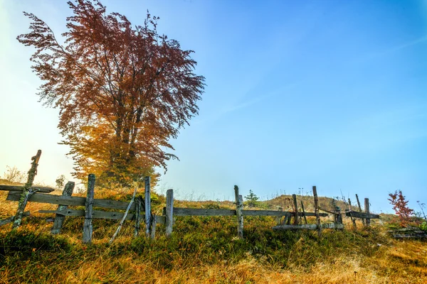 Colorful autumn landscape in the Carpathian mountains — Stock Photo, Image