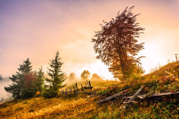 Paesaggio autunnale colorato nelle montagne dei Carpazi — Foto Stock